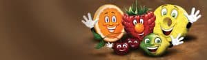 fruit group illustration